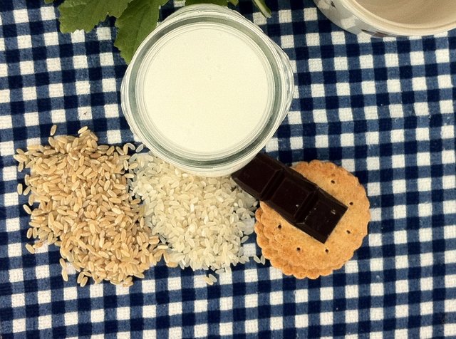 rice_milk_ch.jpg